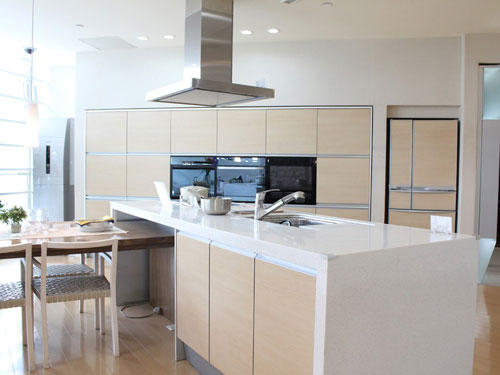 選購抽油煙機要注意些什么?側吸和頂吸抽油煙機哪個好? 選購抽油煙機要注意些什么?側吸和頂吸抽油煙機哪個好?