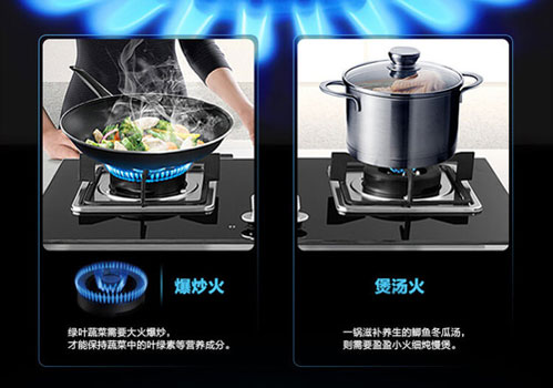 方太燃氣灶(天然氣)JZT-FD21BE 方太燃氣灶(天然氣)JZT-FD21BE