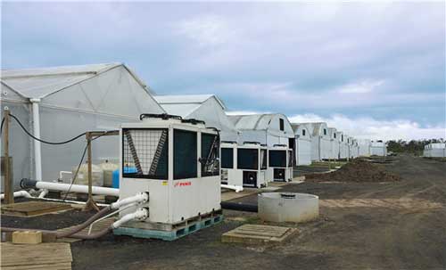 芬尼奪標(biāo)的澳洲大型鮑魚(yú)養(yǎng)殖場(chǎng)一角 芬尼奪標(biāo)的澳洲大型鮑魚(yú)養(yǎng)殖場(chǎng)一角