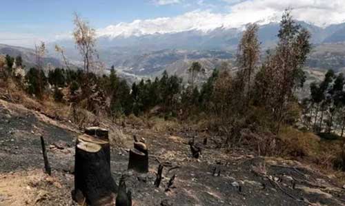 木材漲!運(yùn)費(fèi)漲!人工漲!座墊玻璃漲!對(duì)不起，我們也要漲價(jià)了!!!