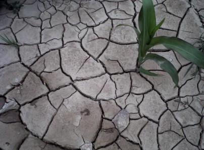 解決水資源浪費刻不容緩 安華啟動智能衛浴“節水時代” 解決水資源浪費刻不容緩 安華啟動智能衛浴“節水時代”