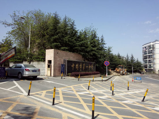 涂料品牌日記|經典漆:播下種子,守護希望 涂料品牌日記|經典漆:播下種子,守護希望