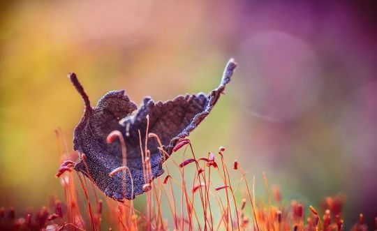 品牌產品|人民電器R86-L9繹彩系列，開啟光彩人生