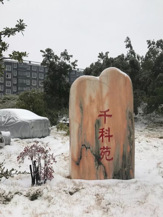 千科潘遠宏：智能產品、智慧營銷一手抓，智能終端是品牌最后浪潮