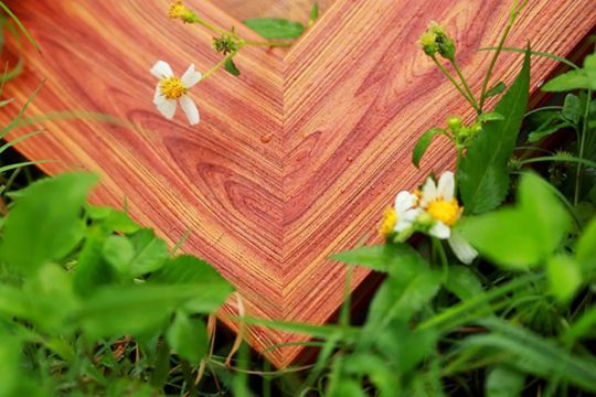 品牌發(fā)展|低調(diào):這家涂企連續(xù)兩年業(yè)績(jī)?cè)鲩L(zhǎng)100%! 品牌發(fā)展|低調(diào):這家涂企連續(xù)兩年業(yè)績(jī)?cè)鲩L(zhǎng)100%!