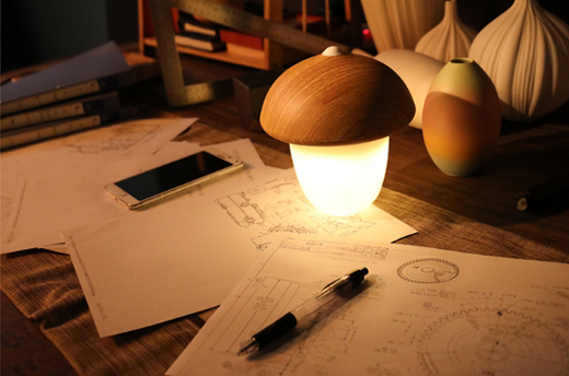 網(wǎng)絡(luò)時(shí)代，中國十大家居照明品牌該怎么秀出自我?