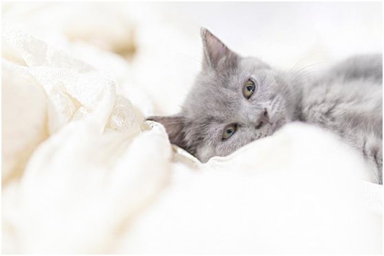 環保清新箭牌漆 與您共度別樣的五一勞動節 環保清新箭牌漆 與您共度別樣的五一勞動節