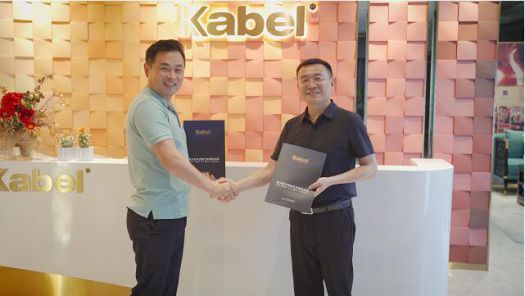 品牌發展|卡百利藝術涂料訴說著家居企業成為大牌的基因工程 品牌發展|卡百利藝術涂料訴說著家居企業成為大牌的基因工程