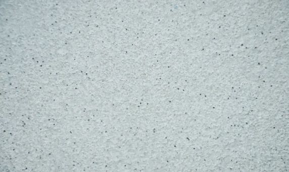 品牌活動|薩拉瑪藝術(shù)漆在公司對師傅進行新工藝培訓(xùn) 品牌活動|薩拉瑪藝術(shù)漆在公司對師傅進行新工藝培訓(xùn)