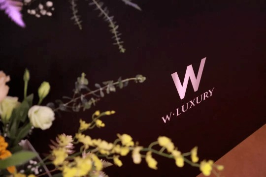 三大燈飾品牌,華藝天團王牌奢品薈狂歡再度來襲! 三大燈飾品牌,華藝天團王牌奢品薈狂歡再度來襲!