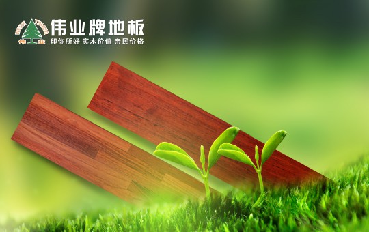 優(yōu)秀的地板長什么樣子?偉業(yè)牌地板告訴你 優(yōu)秀的地板長什么樣子?偉業(yè)牌地板告訴你