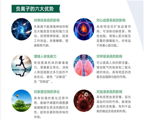 福臨板材實錘“科普”：健康板材盛勢開賣，三大標準賦能生態