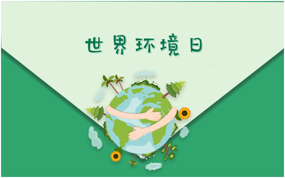 世界環境日:保護我們共同生存的家園,百慕一直在行動!