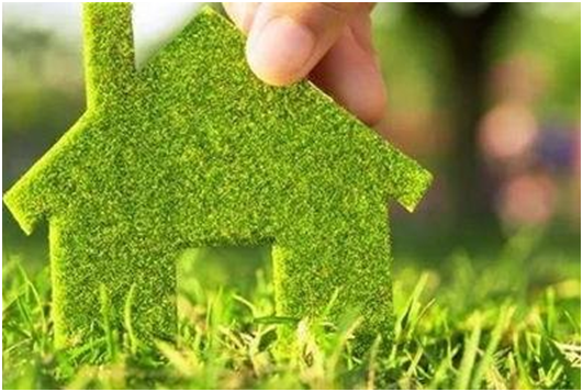 世界環境日:保護我們共同生存的家園,百慕一直在行動!