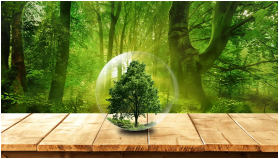 魯麗家居無醛添加的秘密——MDI生態膠黏劑