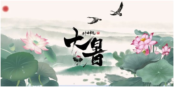 【大暑】將軍板材:炎炎夏日,一份家居清涼指南請查收